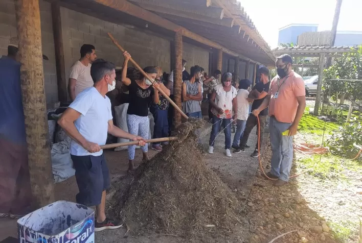 Preços altos e guerra aumentam o interesse por biofertilizantes