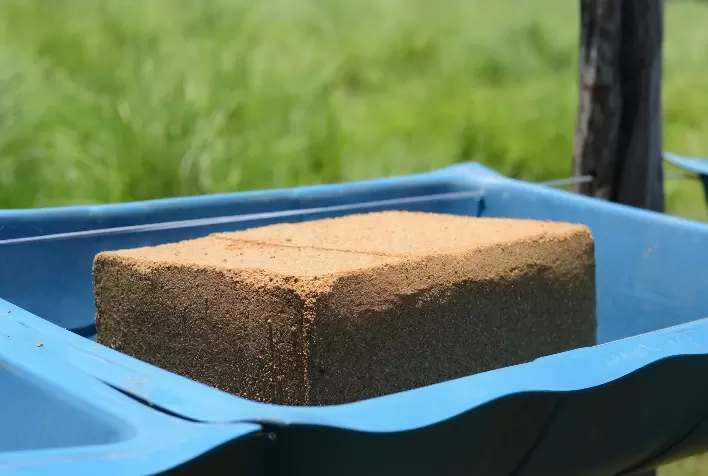 Suplementação em bloco é alternativa a produtores que querem minimizar desperdício