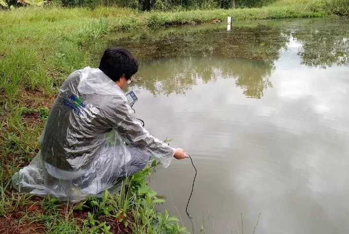 De olho na previsão do tempo para evitar perdas na piscicultura