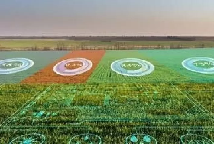 Brasil tem potencial de se tornar o celeiro de tecnologias para o agronegócio no mundo