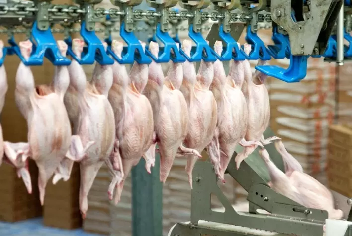 Desempenho do frango abatido em março e no primeiro trimestre de 2022