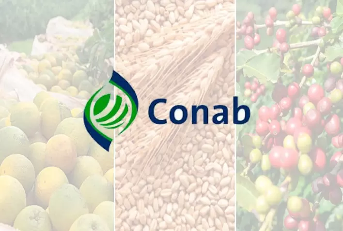 Conab embasa atualização os preços mínimos da laranja, trigo e café da safra 2022/2023