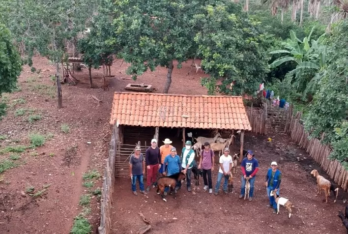 Produtores recebem apoio técnico para impulsionar criação de ovinos e caprinos no Semiárido