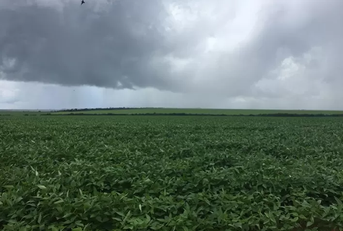 Ferramenta ajuda a desenvolver pesticidas mais seguros