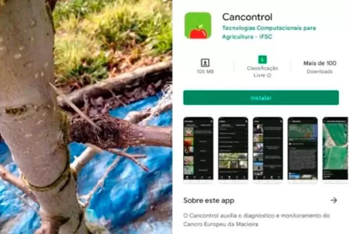 App que monitora cancro europeu está disponível