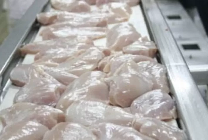 Carne de frango in natura: retrospectiva sugere aumento de 5% no volume exportado em 2022
