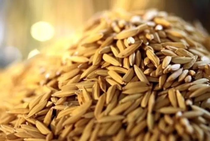 Arroz: Preço sobe 21% no início de 2022