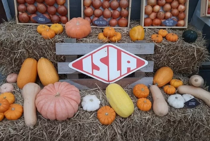 Lançamentos e técnicas de cultivo marcam a participação da ISLA Sementes na Expoagro -- Afubra no RS