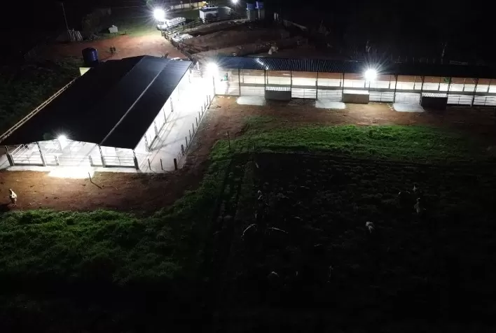 Produtor do Sul de Minas espera registrar aumento de 1.000% na produção de leite