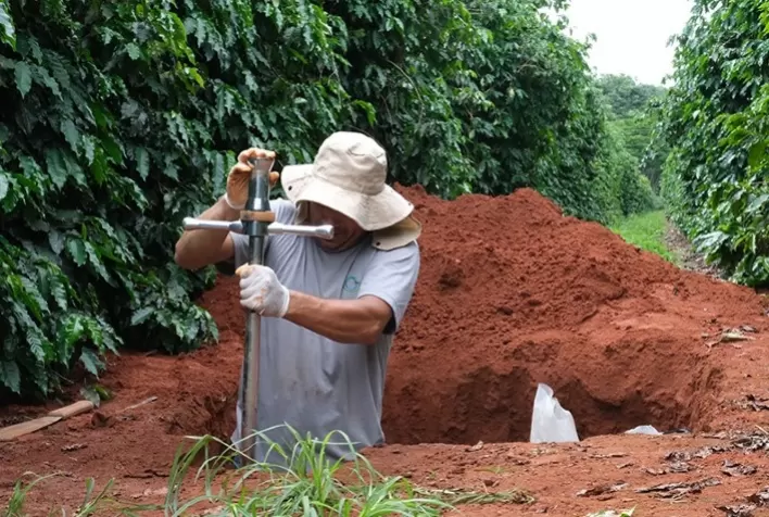 Boas práticas agrícolas tornam a cafeicultura brasileira 'carbono negativo'