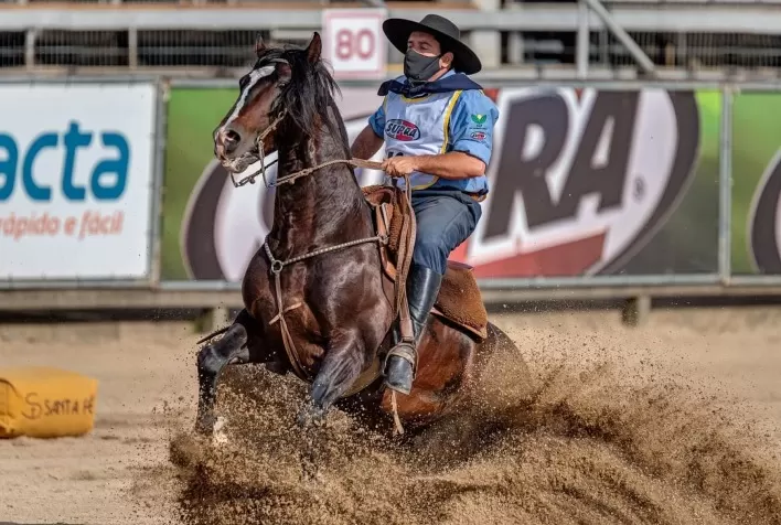 GAP Genética celebra 40 anos na criação de Cavalos Crioulos com leilão