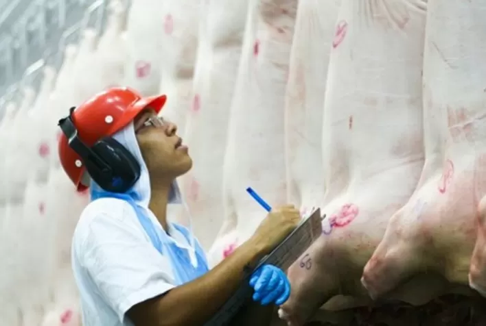 O Boletim do Suíno do Cepea de março já está disponível