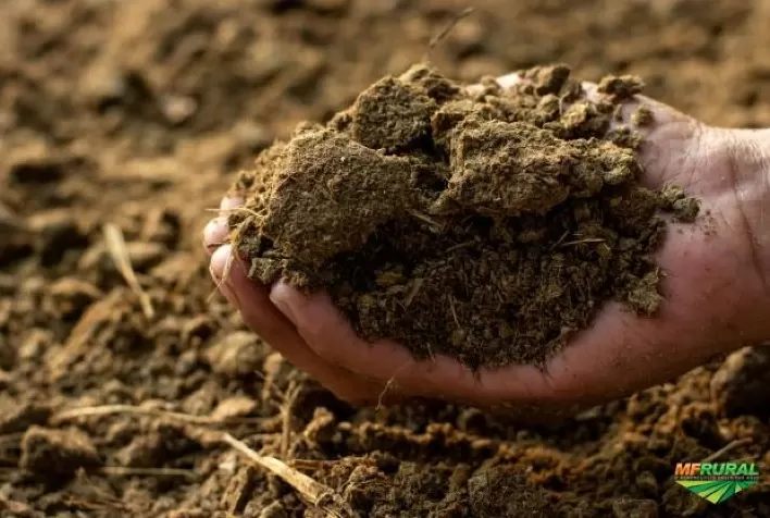 Na crise dos fertilizantes, falta até esterco para agricultores