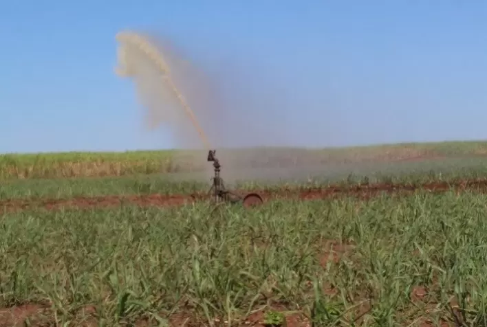 Vinhaça e cinzas viram fertilizante em canaviais