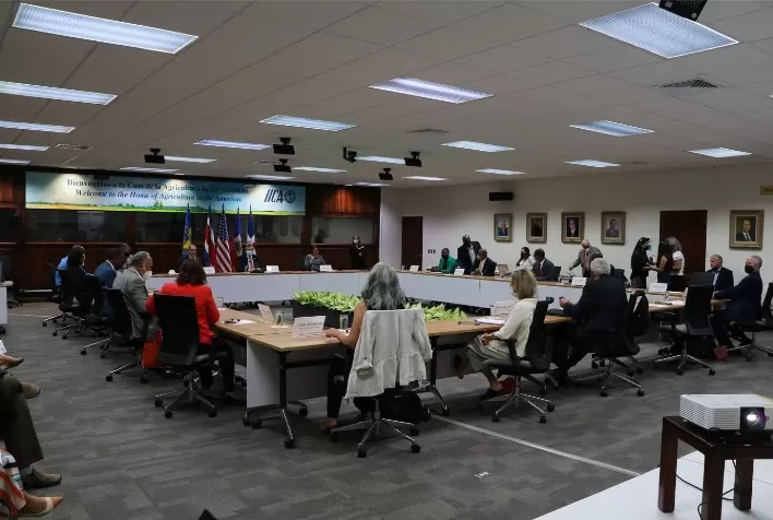 O IICA apoia ações tripartites do Haiti, da República Dominicana e dos Estados Unidos para controlar e erradicar a peste suína africana do hemisfério