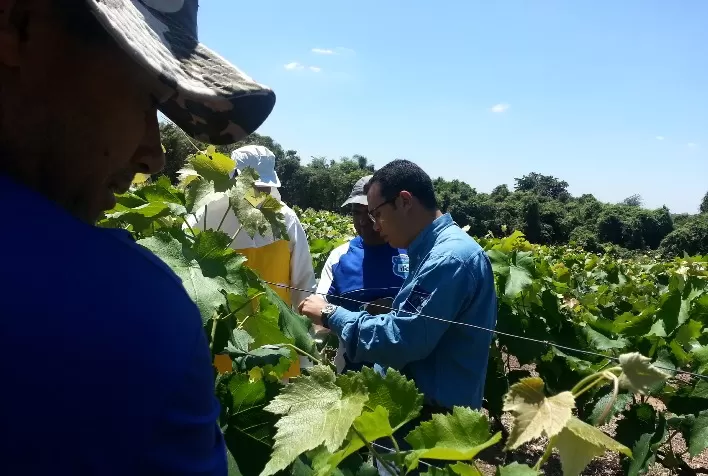 Evento apresenta 4 programas para segurança no manejo de agroquímicos e treinamento inédito para agricultores