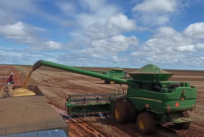 Soja convencional é cultivada por indígenas do Chapadão do Parecis, em Mato Grosso