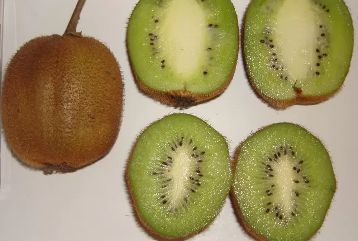 Registro da cultivar Tewi incentiva a kiwicultura no Rio Grande do Sul