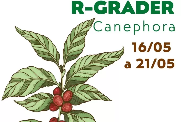 BSCA capacitará profissionais para avaliação de café robusta