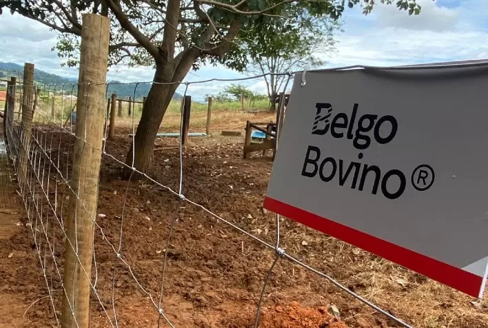 Nova cerca Belgo Bovino é mais resistente, eficiente e econômica para os pecuaristas