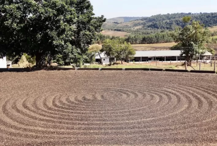 Fazenda mineira de café aposta na biotecnologia e amplia produção