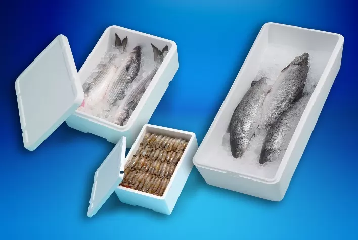 A importância da embalagem para a qualidade dos pescados