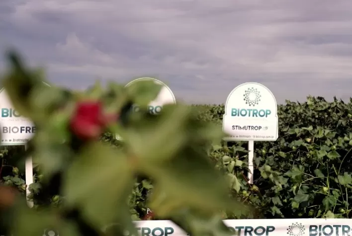 Brasileira de biológicos planeja registro de 58 novos produtos até 2025