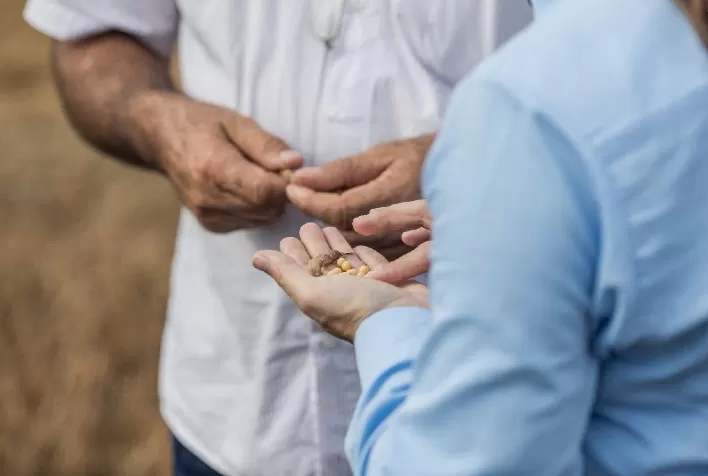Fundação Cargill incentiva alimentação sustentável com inscrições para 8ª edição do Edital