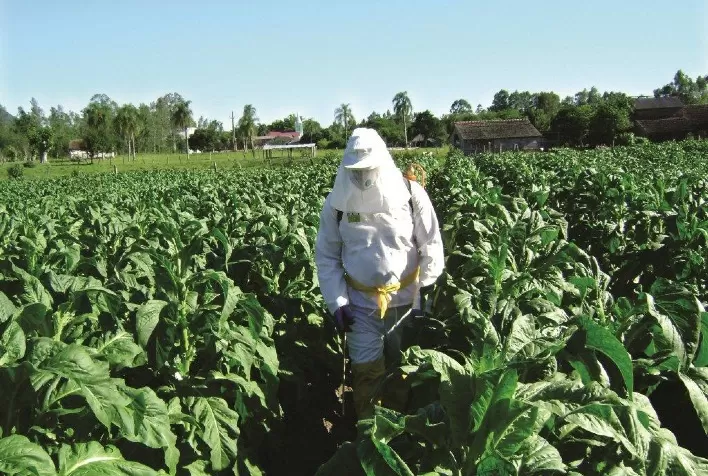 Unidade de Referência lança curso para aplicadores de agroquímicos, em linha com programas do Governo Federal