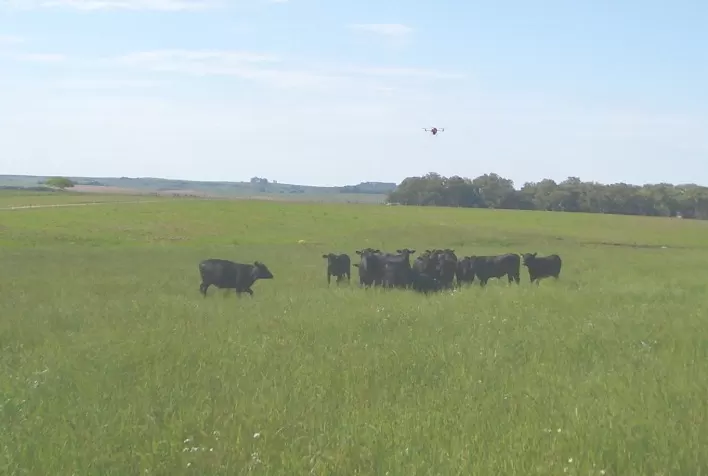 Agricultura de precisão pode melhorar o sistema ILP