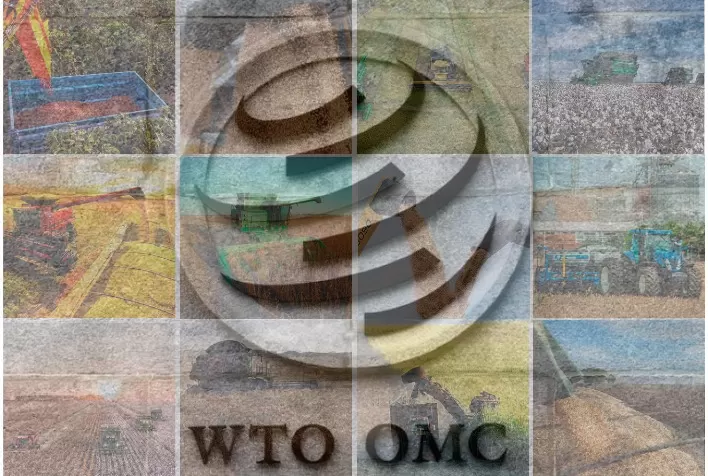 Diretora-geral da OMC encoraja setor produtivo a mostrar o agro brasileiro ao mundo