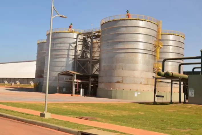 Produção do etanol de milho está em ascensão no Brasil
