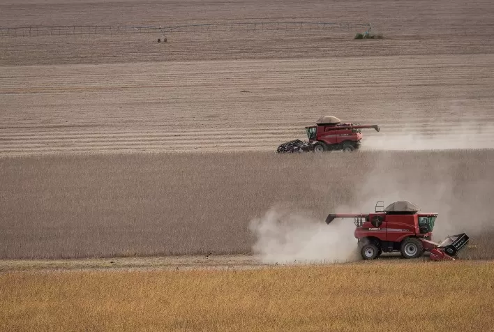 Colheita da soja é retomada e já alcança 55% da área cultivada