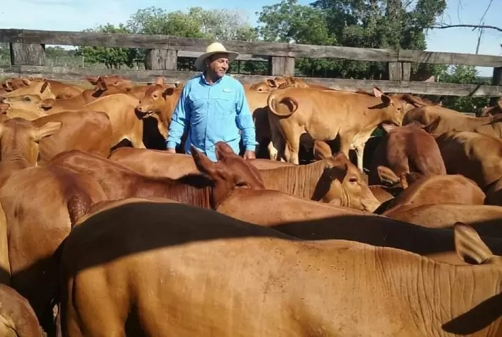 Montana Calidad produz carne de qualidade com base em seleção criteriosa e tecnologias avançadas