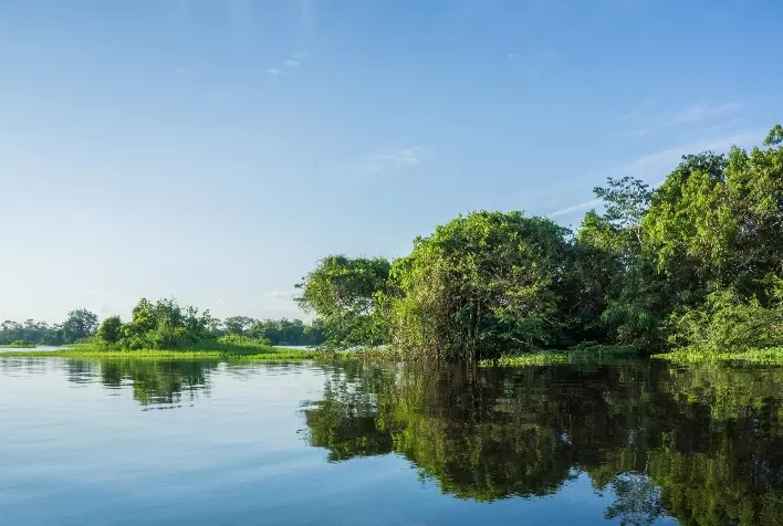 Nova chamada de aceleradora apoiada pelo Fundo JBS pela Amazônia seleciona negócios de impacto na região