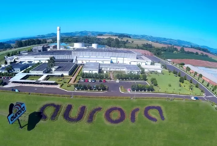Na Aurora, avanço na exportação de frango pode compensar cenário adverso para carne suína