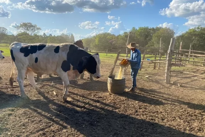 Agricultores titulados em Goiás querem ampliar produção e investir em propriedade