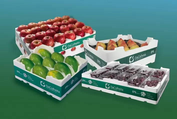 Soluções DaColheita presentes no Congresso Brasileiro de Fruticultura, em Florianópolis