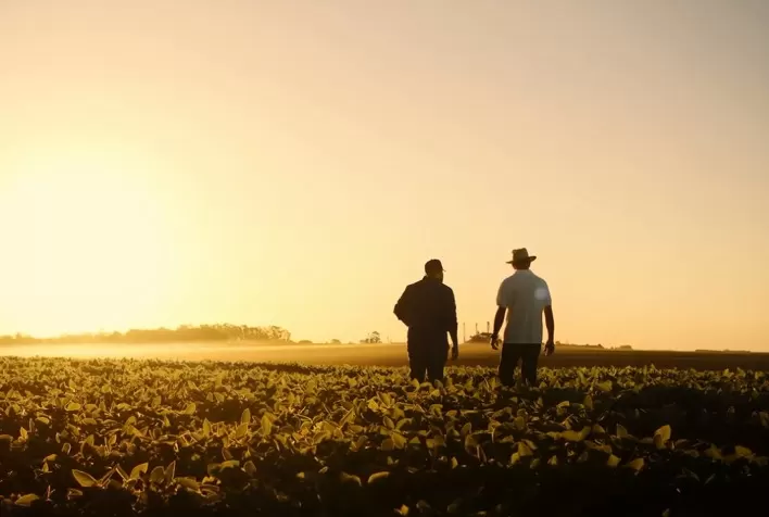 Como o produtor rural pode lucrar mais