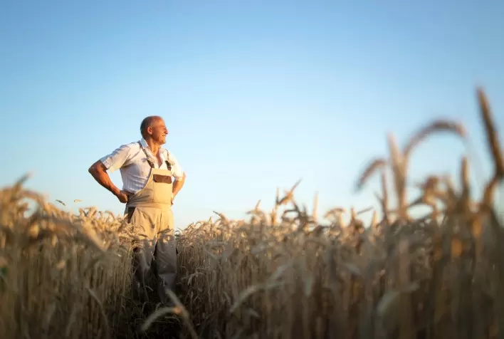 Entenda as principais mudanças regulatórias ocorridas no Seguro Rural em 2021