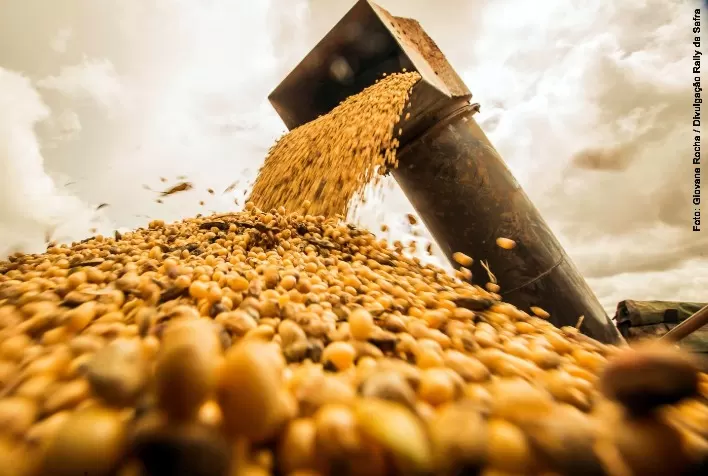 Soja oscila nos mercados e abre espaço para o produto brasileiro