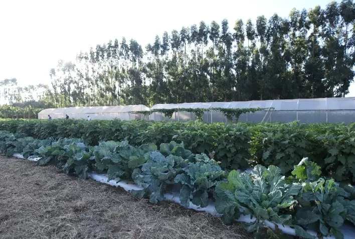 AgroBrasília apresenta tecnologias para produtores de todos os portes