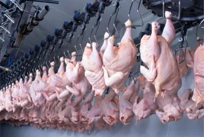Frango abatido: no 1º quadrimestre, preço ficou aquém da média alcançada em 2021