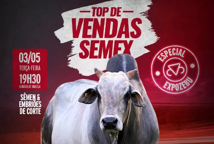 Semex Brasil levará novidades para a ExpoZebu 2022
