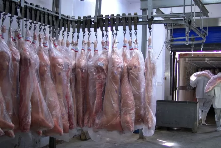 Carne suína produzida no Paraná ganha mercado em Singapura