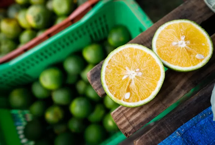 Além do clima, pragas e doenças prejudicam safra de laranja no Sudeste