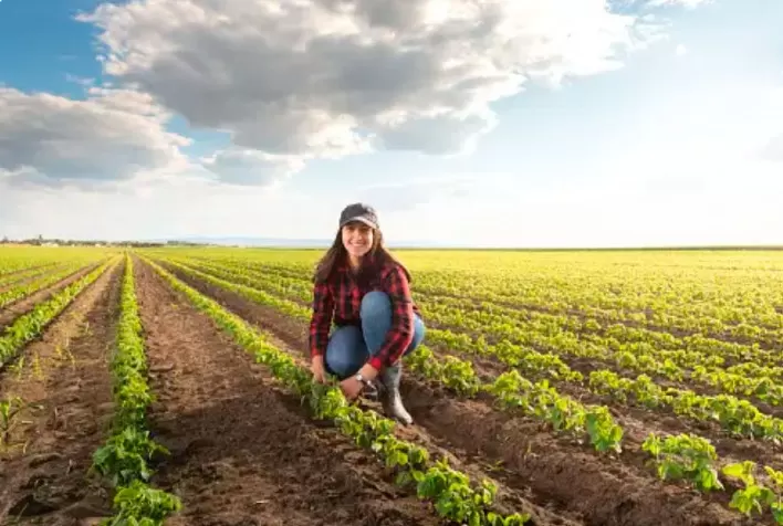 Nutrien busca jovens recém-formados em agronomia
