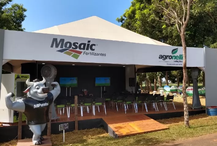 Nutrição de pastagem gera aumento de 50% em produtividade bovina