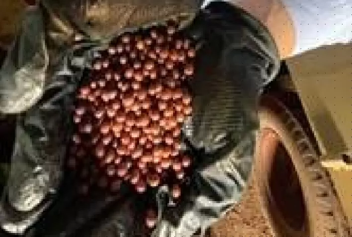 Stoller do Brasil lança o Send para tratamentos de sementes on farm