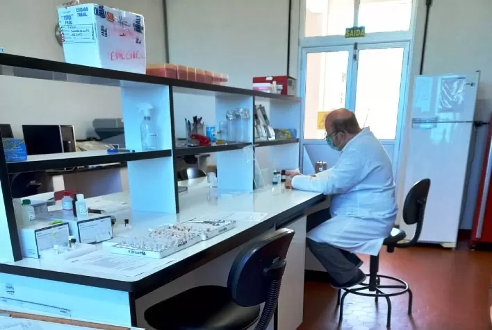 Laboratório do CEPVDF obtém aprovação para realizar análises de duas novas doenças de suínos